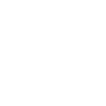 icon (2)